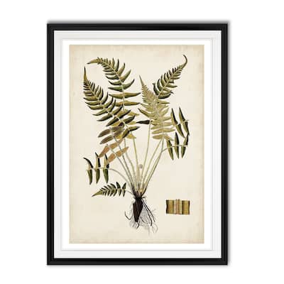 Fern Botanical IV -Custom Framed Print