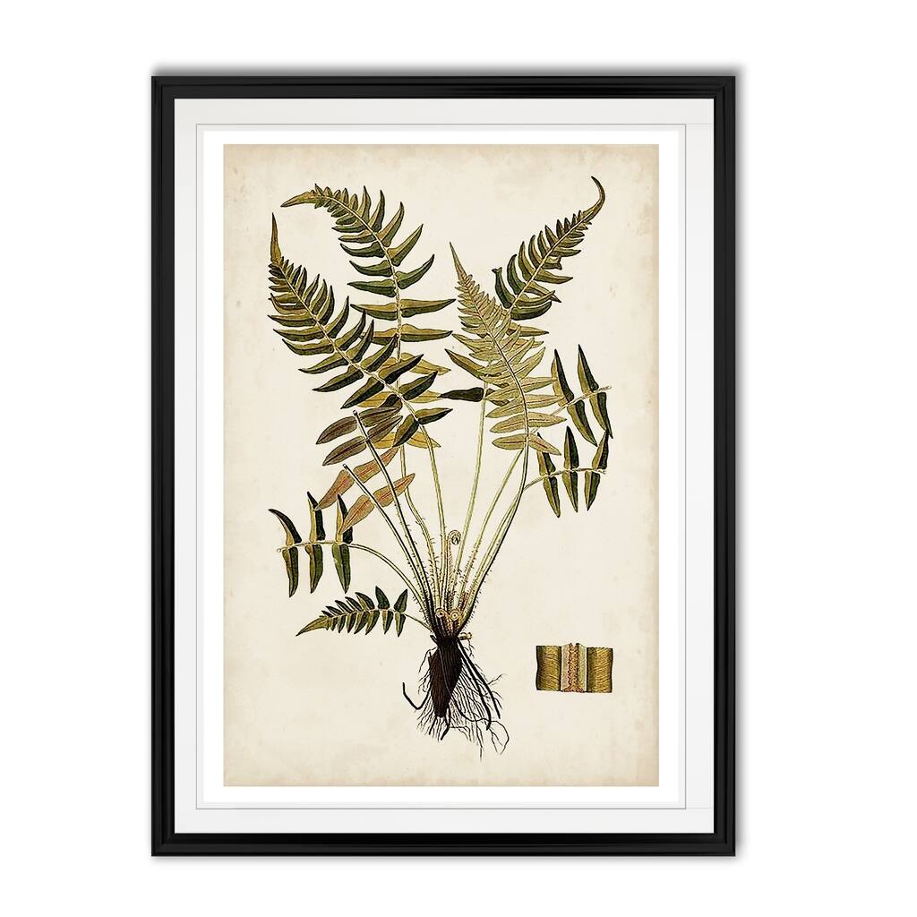 Fern Botanical IV -Custom Framed Print