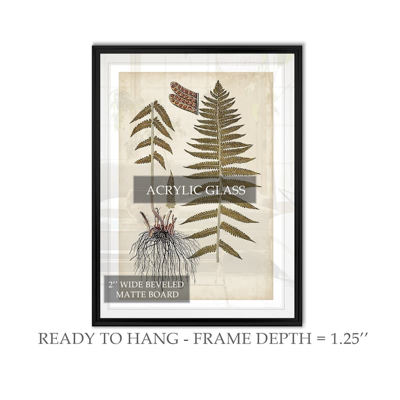 Fern Botanical V -custom Framed Print - Bed Bath & Beyond - 29918998