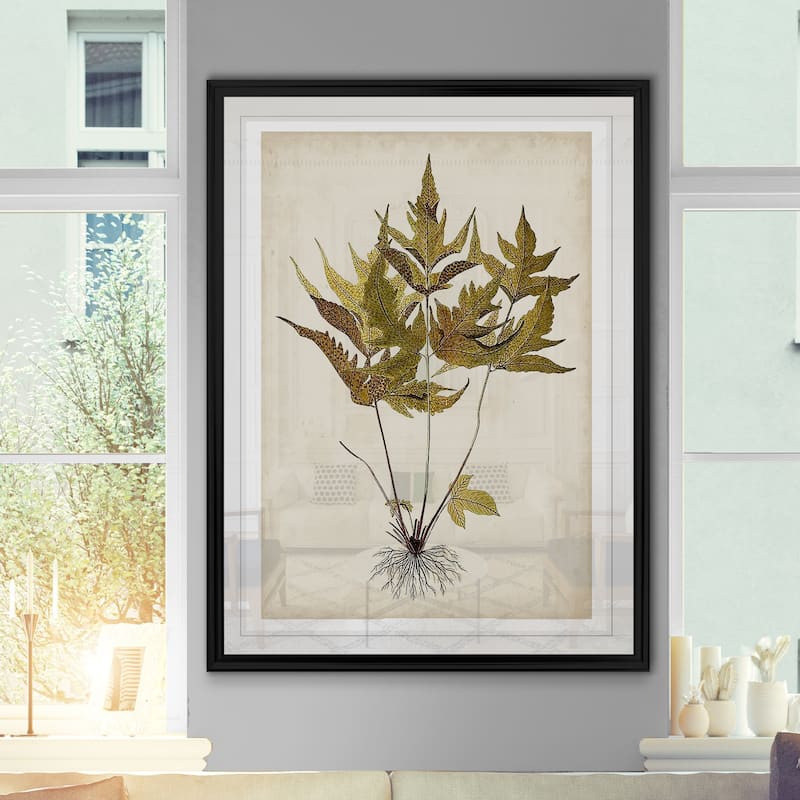 Fern Botanical Ii -custom Framed Print - Bed Bath & Beyond - 29919018