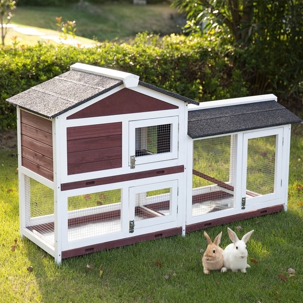 outside rabbit cage