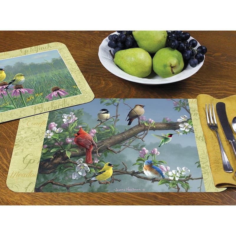 Reversible Wipe-clean Plastic Placemats Set of 4 - Beautiful Songbirds