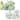 Reversible Wipe-clean Plastic Placemats Set of 4 - Greenery