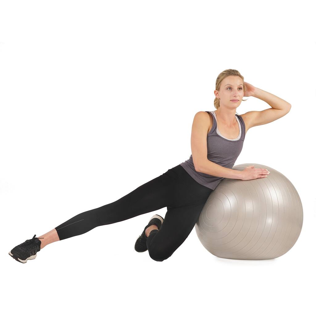 Sunny Health & Fitness 66cm Anti-Burst Gym Ball