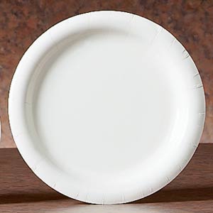 The Home Store 9″ White Paper Plates, 40-ct. Packs –