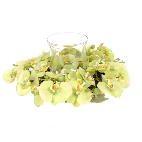 Phalaenopsis Orchid Centerpiece in Dark Green  