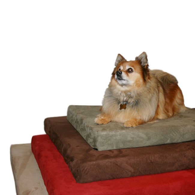 Small Memory Foam Dog Bed with Microfiber Cover  