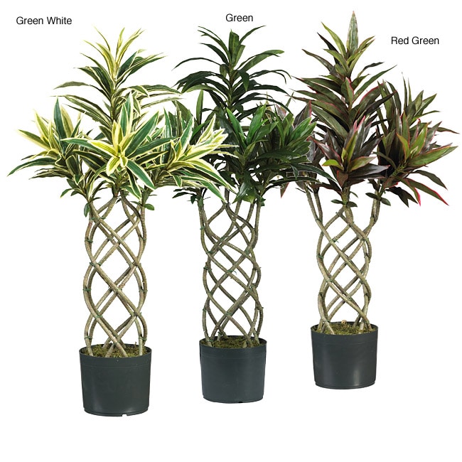 Twisted Dracaena Silk Plant Free Shipping Today