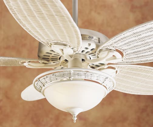 Shop Hunter Tropical Original 54 Inch Ceiling Fan 2 Motifs