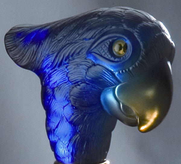 Translucent Parrot Head Walking Stick/Cane - Free Shipping