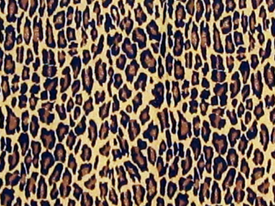 Leopard 6inch Queensize Twill Futon Cover Bed Bath & Beyond 1858522