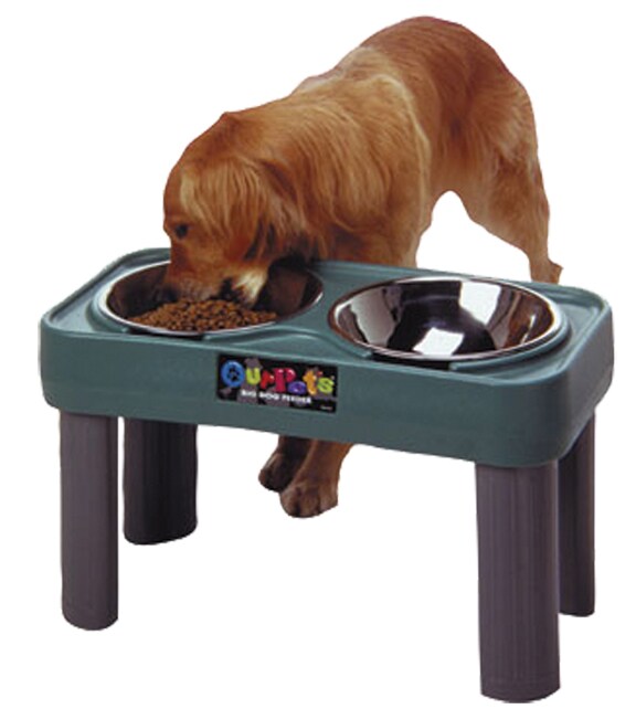 Big Dog Feeder Bed Bath & Beyond 3507126