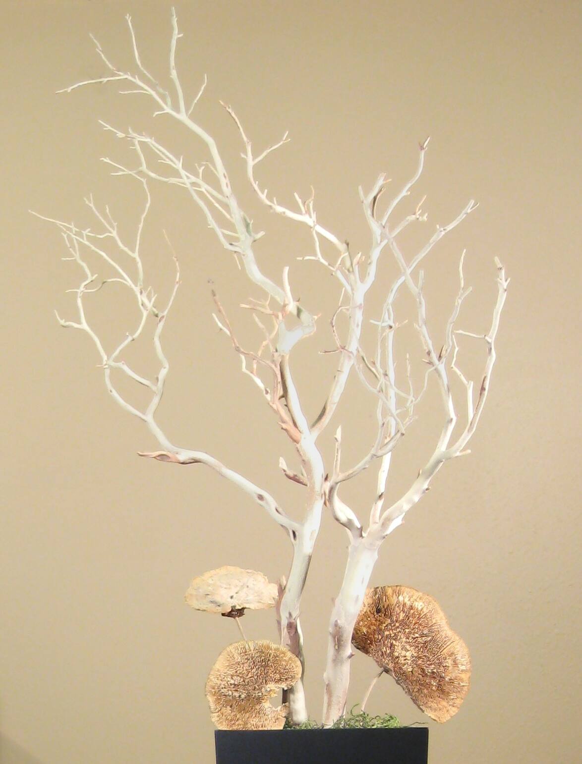 Sandblasted Manzanita Centerpiece Branches, 18 inches tall: Blooms