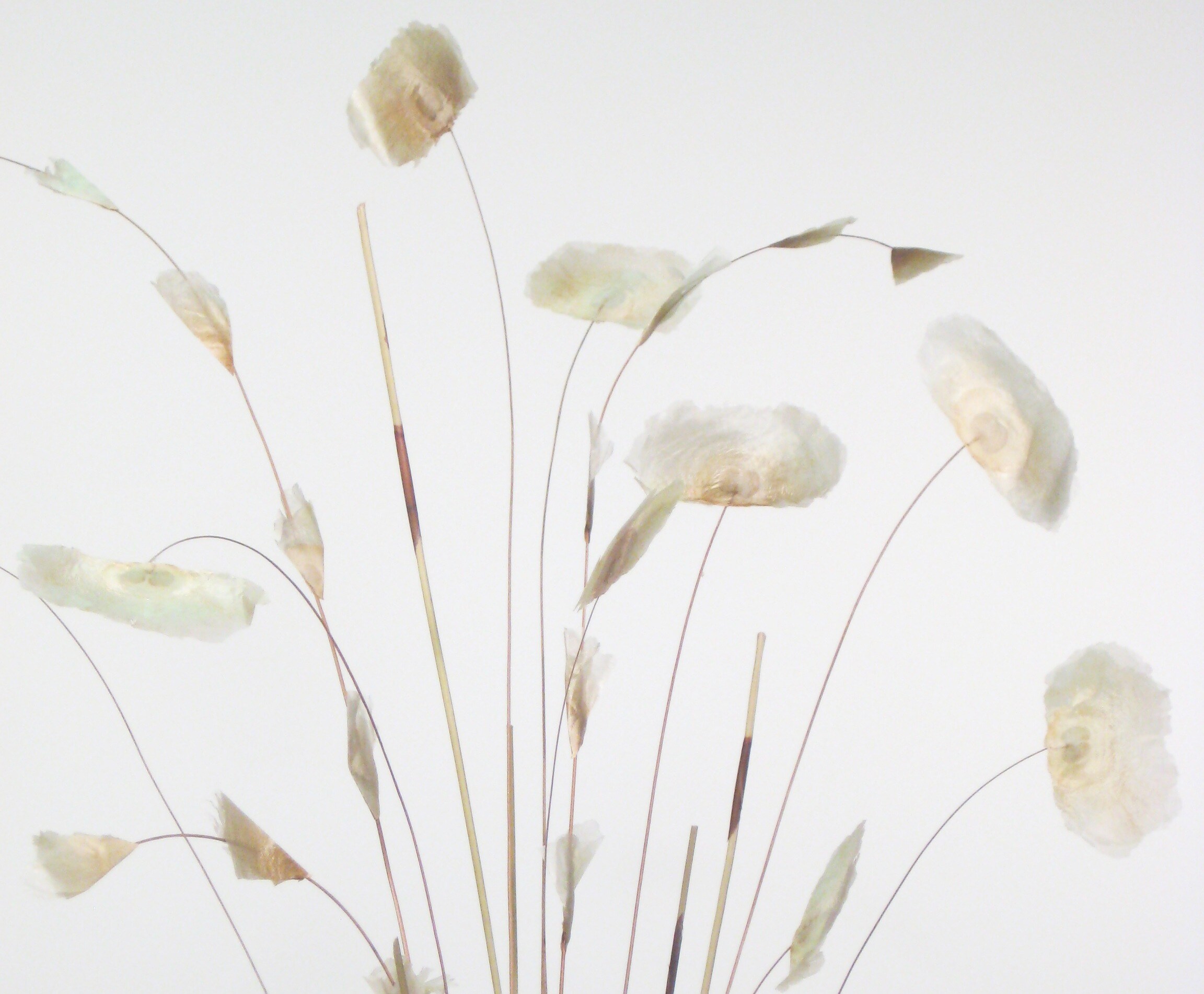 Natural Bamboo Zen Vase with Fantail Flora Bed Bath & Beyond 3525332