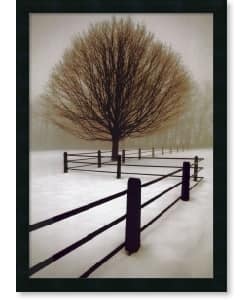 David Lorenz Winston Solitude Framed Canvas Art - Bed Bath & Beyond ...