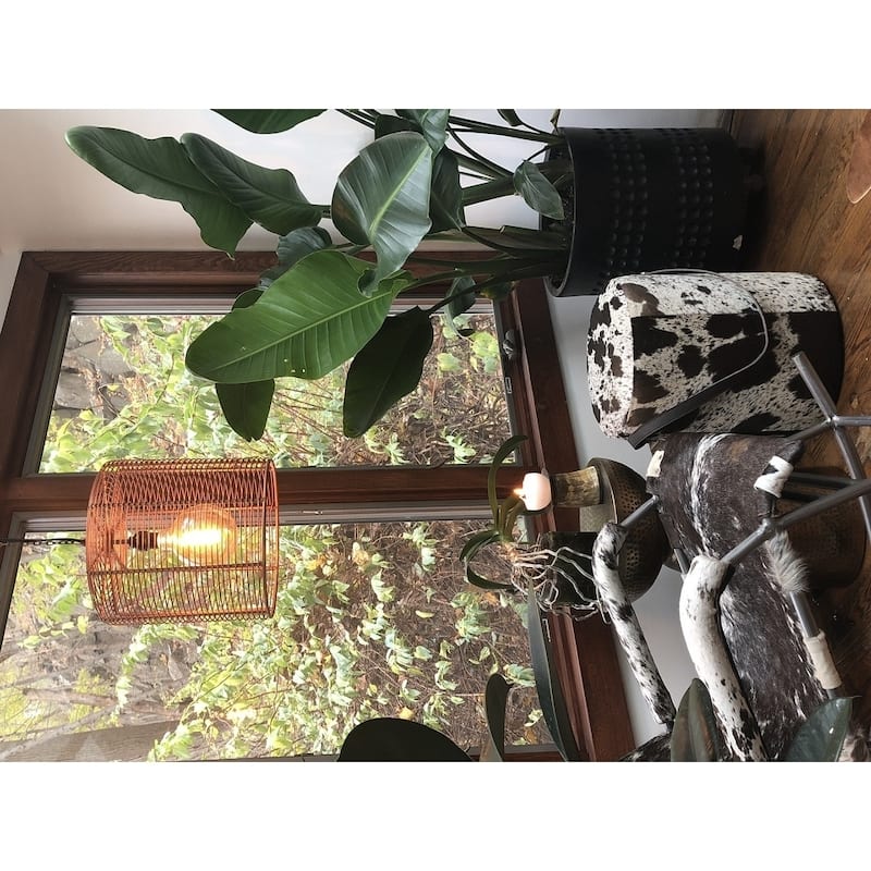 Copper Hanging Lamp LYS
