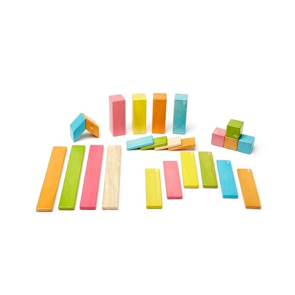 tegu 24 piece