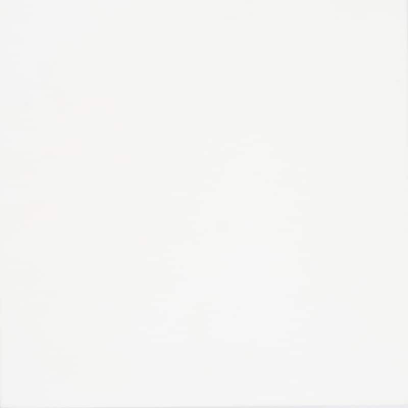 Handmade Solid Color in Off-White Cement Tile, Pack of 12 (Morocco)