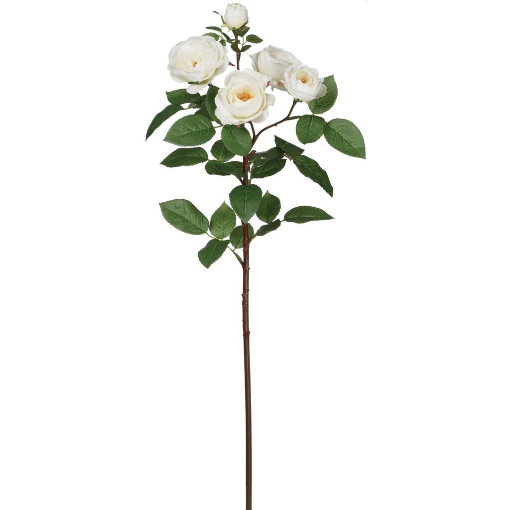 Sullivans Spray Rose Stem