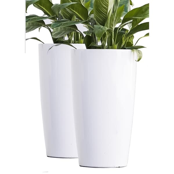 Featured image of post Self Watering Plant Pots For Sale / I found these self watering pots in different sizes.