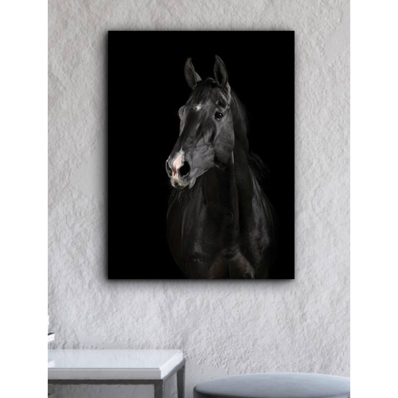 Black Horse Portrait Canvas Art Bed Bath & Beyond 30218370