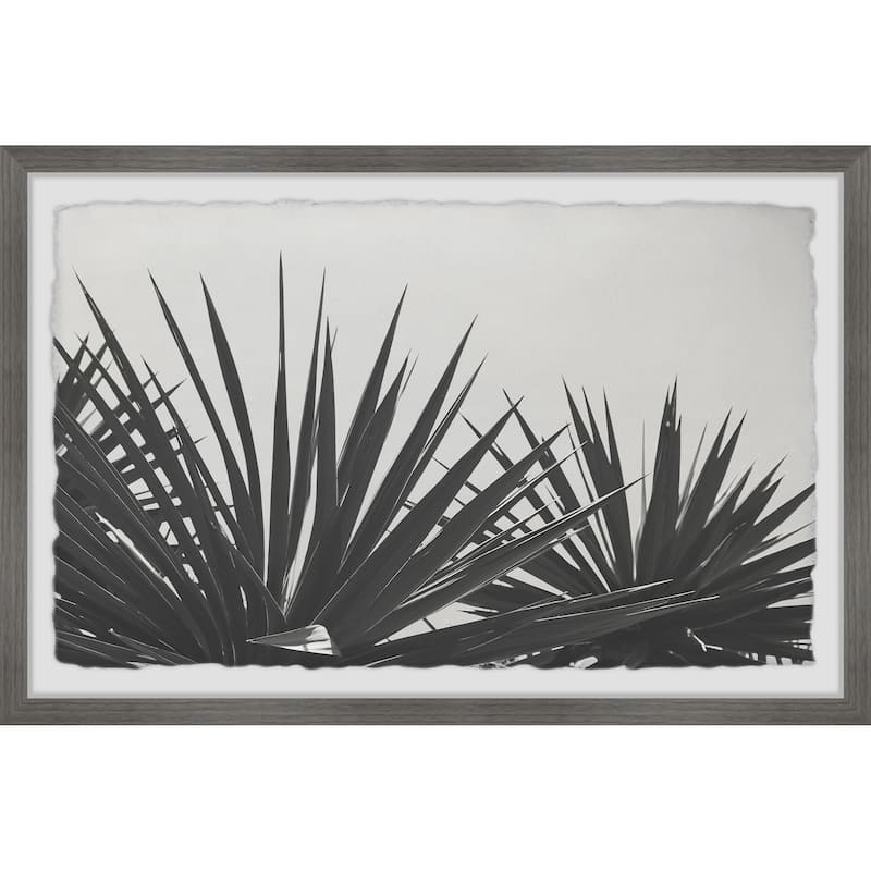 'Blue Agave' Framed Painting Print
