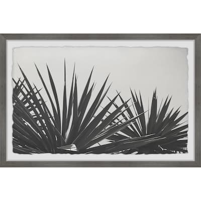 'Blue Agave' Framed Painting Print