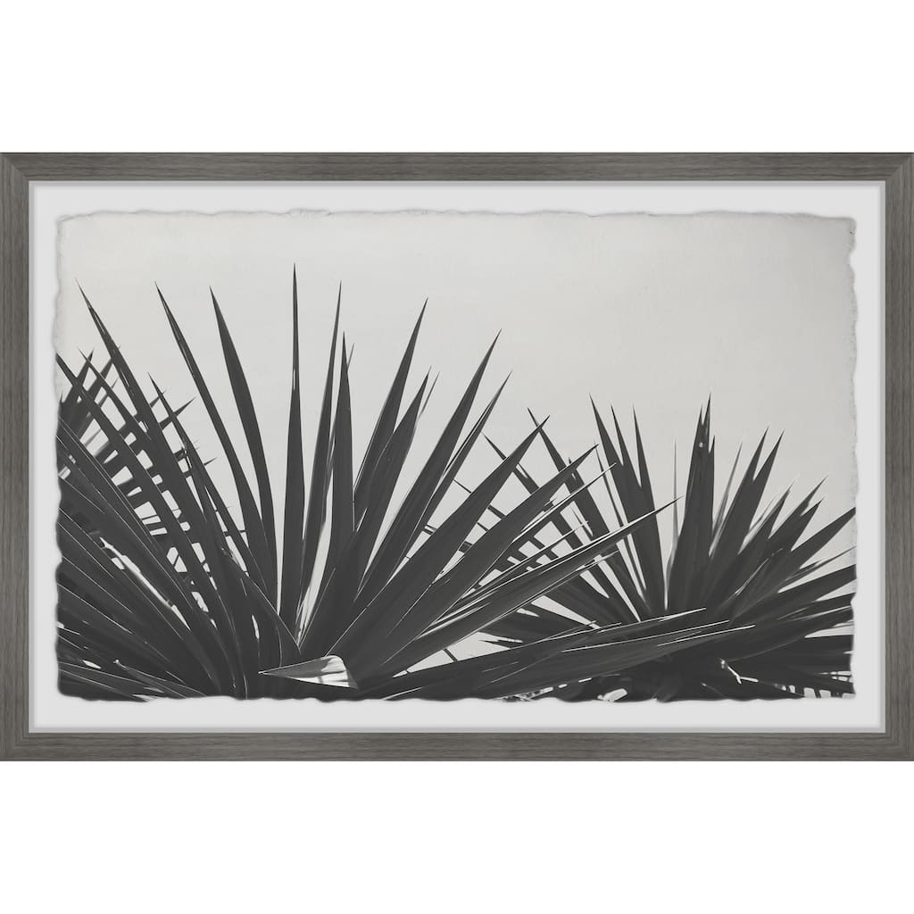 'Blue Agave' Framed Painting Print