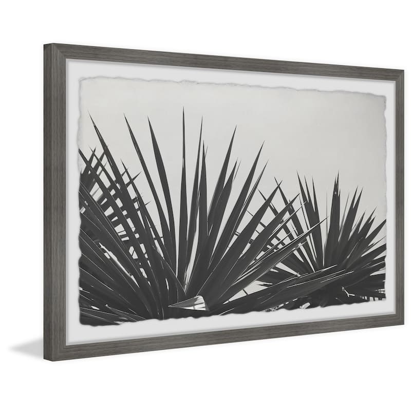 'Blue Agave' Framed Painting Print