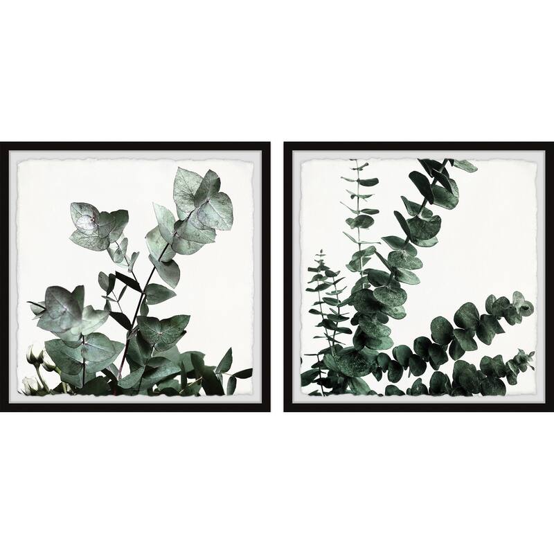 Gum Tree Foliage Diptych