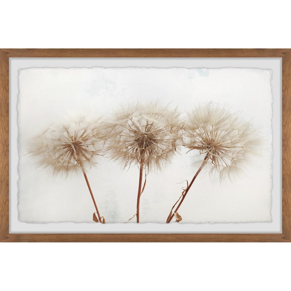 Copper Grove Dandelion Trio Framed Painting Print