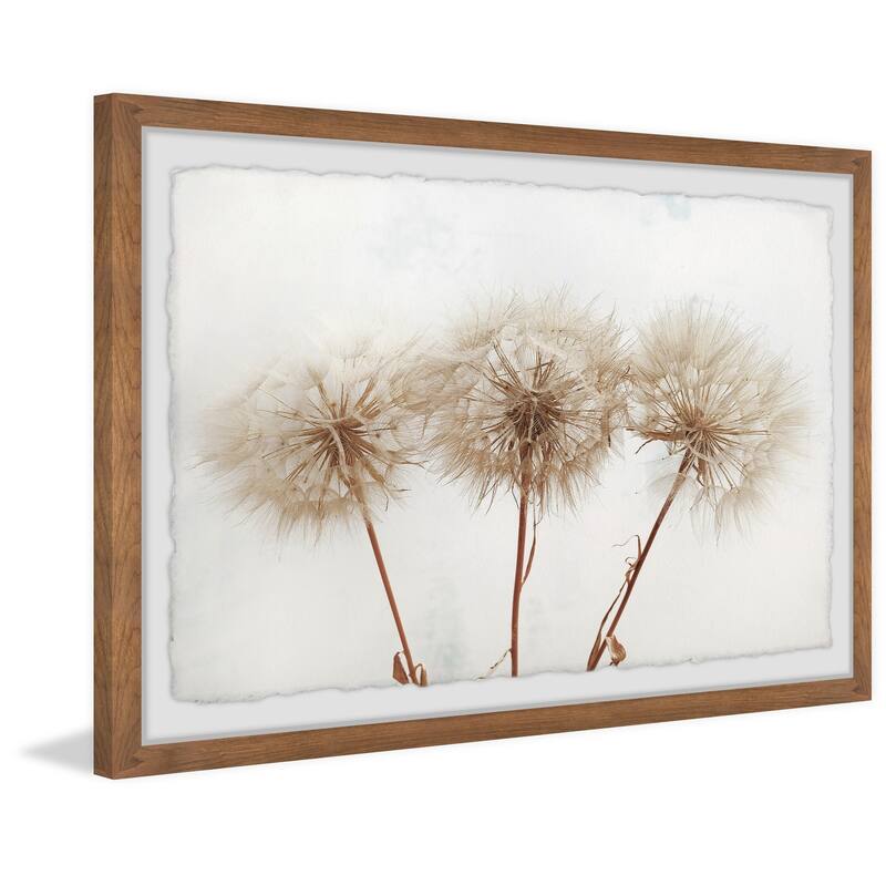 Copper Grove Dandelion Trio Framed Painting Print
