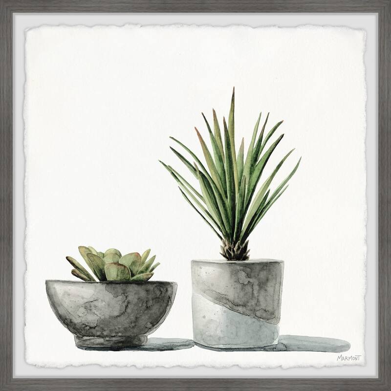 The Gray Barn 'Spiky Succulent' Framed Painting Print