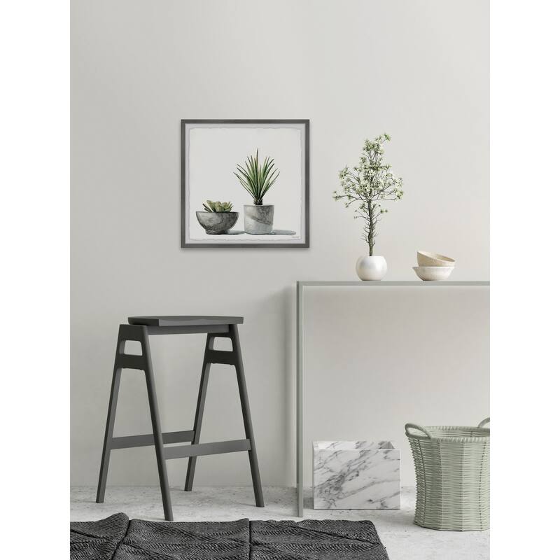 The Gray Barn 'Spiky Succulent' Framed Painting Print