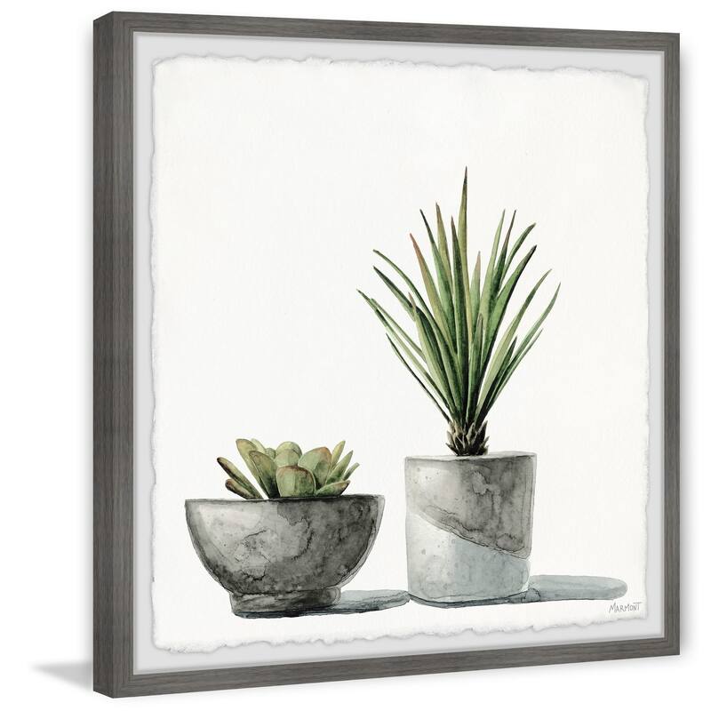 The Gray Barn 'Spiky Succulent' Framed Painting Print