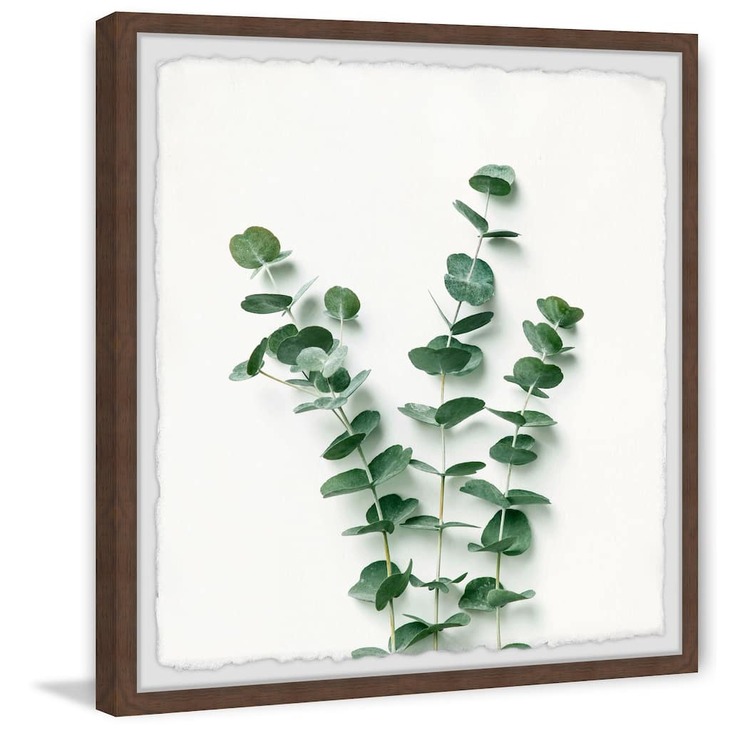 'Eucalyptus Bundle' Framed Painting Print