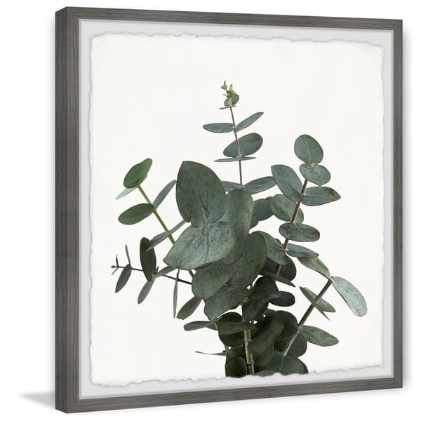 slide 1 of 7, 'Green Eucalyptus Leaves' Framed Painting Print