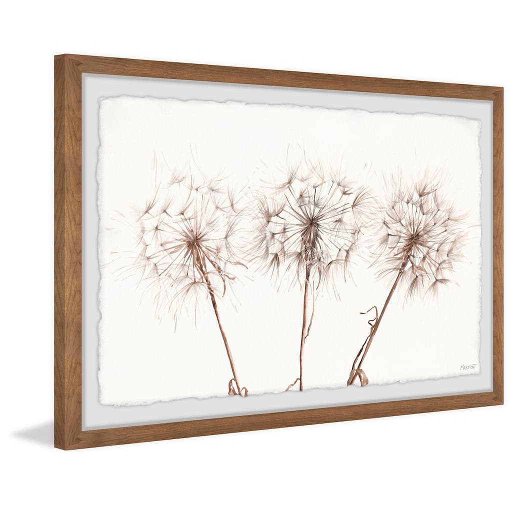Copper Grove Dandelion Trio II Framed Painting Print