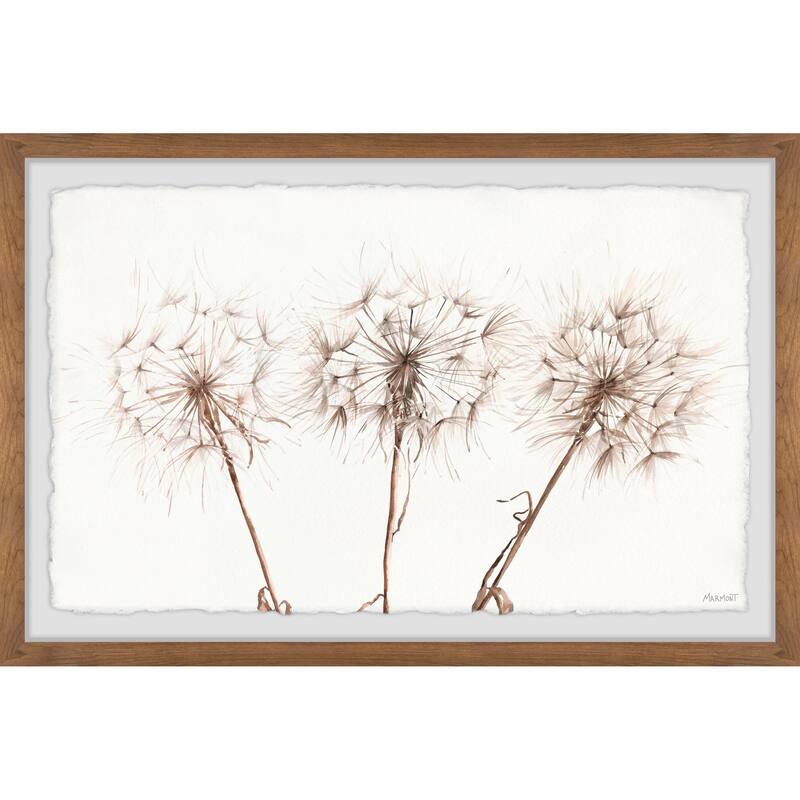 Copper Grove Dandelion Trio II Framed Painting Print
