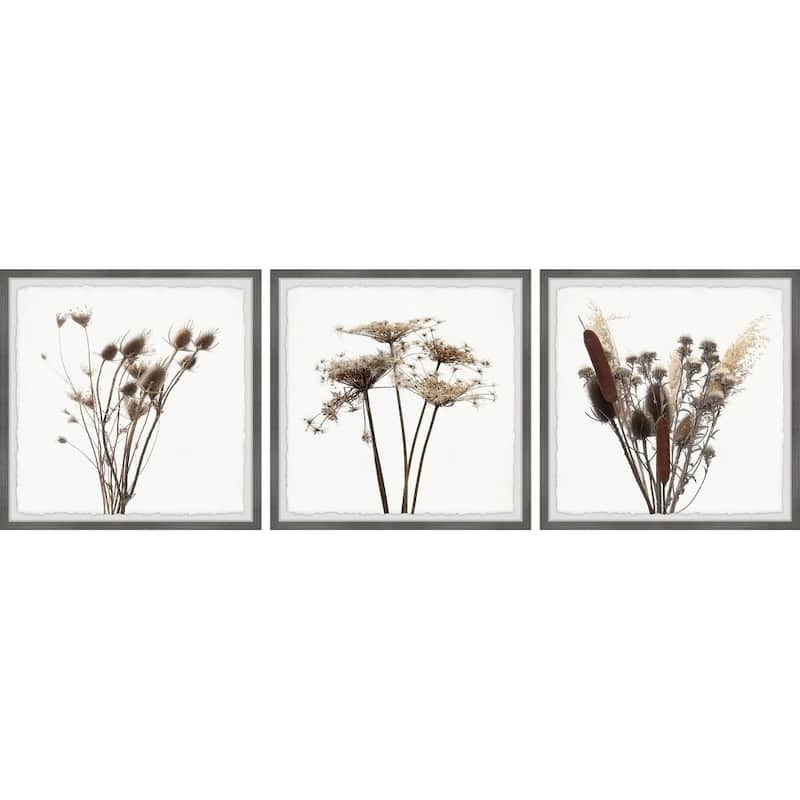 Marmont Hill Rustic Dandelion 3-piece Triptych Wall Art Set