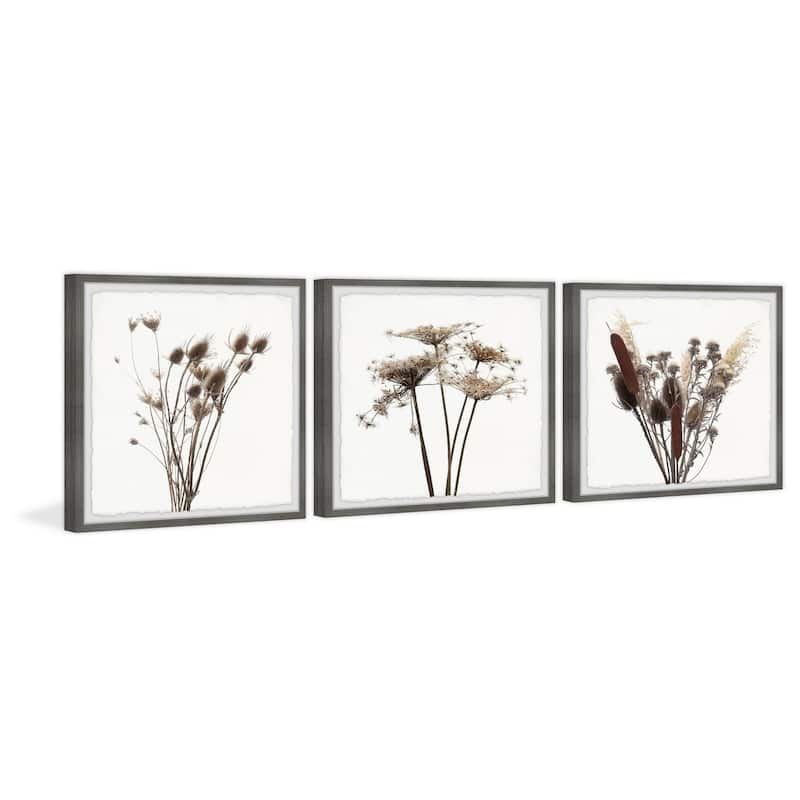 Marmont Hill Rustic Dandelion 3-piece Triptych Wall Art Set