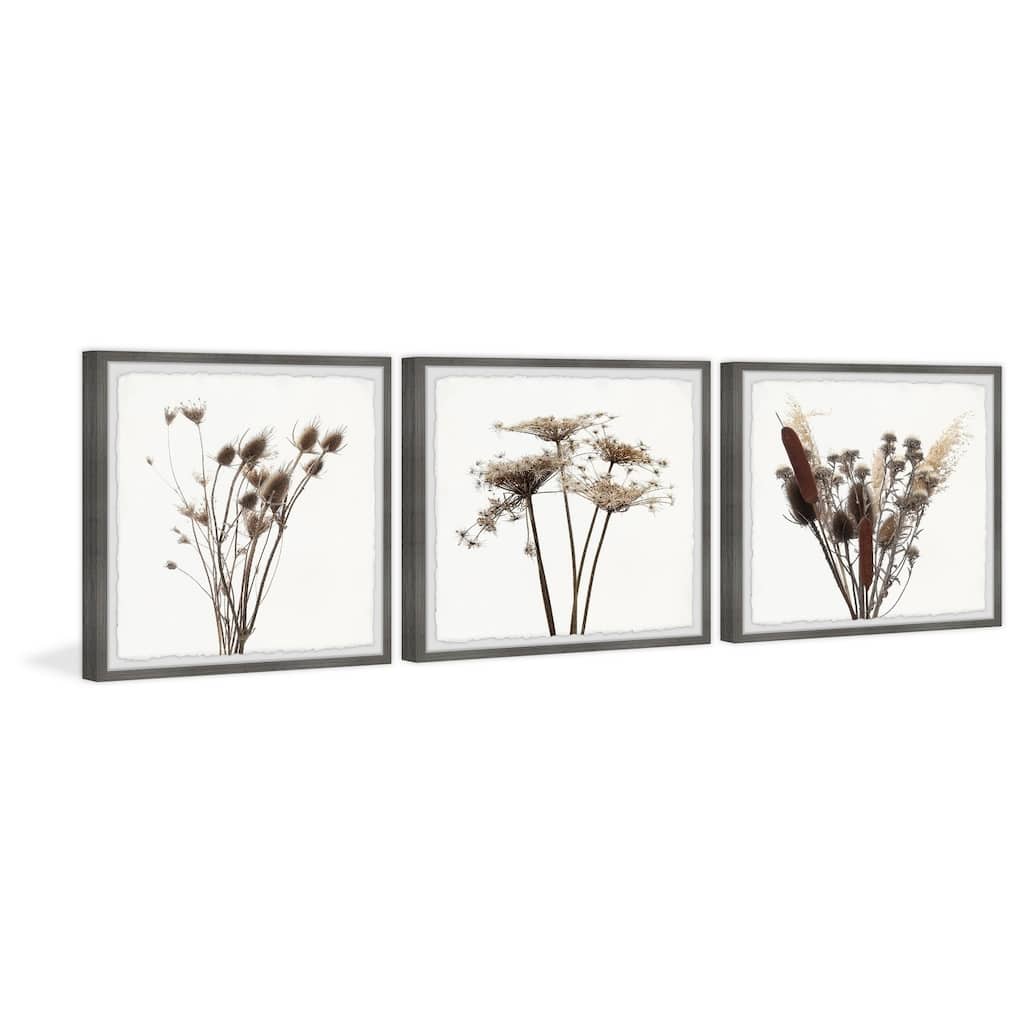 Marmont Hill Rustic Dandelion 3-piece Triptych Wall Art Set