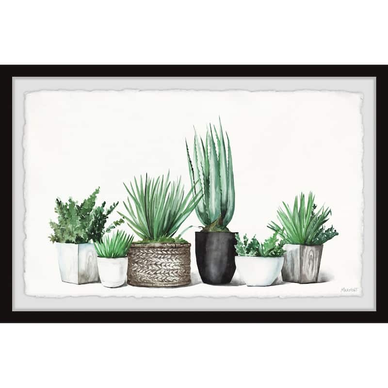 'Assorted Succulents' Framed Painting Print