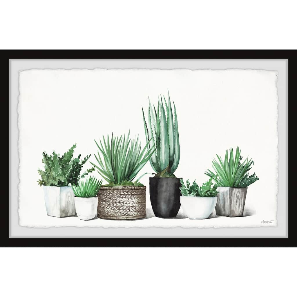 'Assorted Succulents' Framed Painting Print