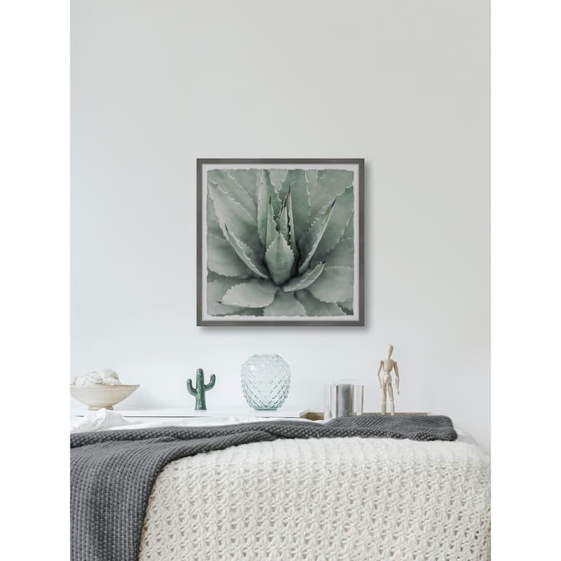 Toothed Leaf Succulent' Framed Painting Print