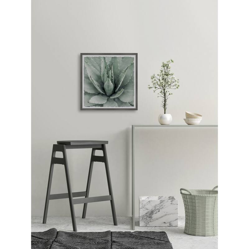 Toothed Leaf Succulent' Framed Painting Print