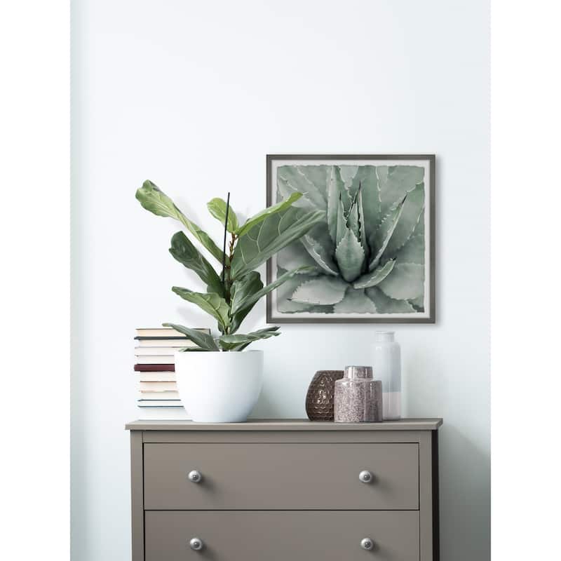 Toothed Leaf Succulent' Framed Painting Print