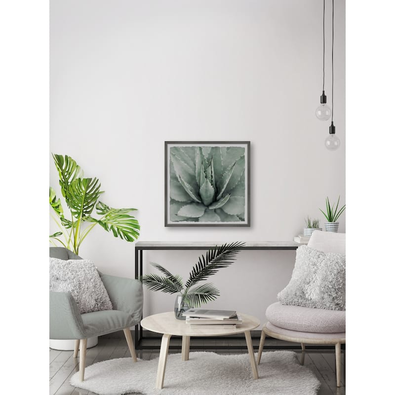 Toothed Leaf Succulent' Framed Painting Print