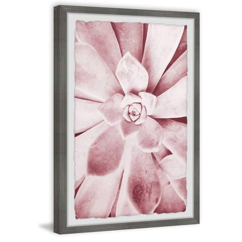 Taylor & Olive Pink Succulent Framed Print