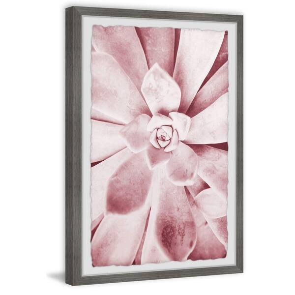 slide 1 of 7, Taylor & Olive Pink Succulent Framed Print